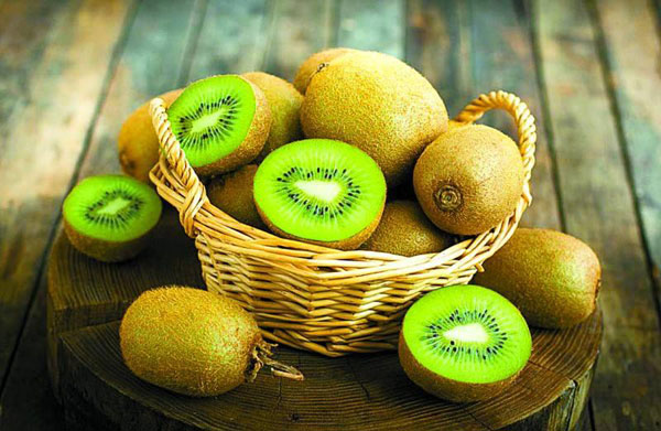 金寨县10大特产